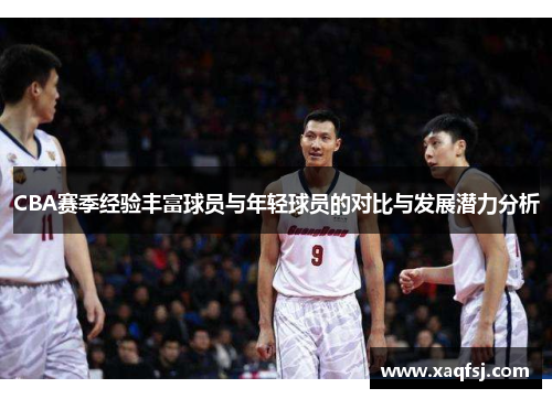 CBA赛季经验丰富球员与年轻球员的对比与发展潜力分析