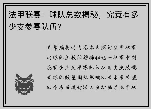 法甲联赛：球队总数揭秘，究竟有多少支参赛队伍？